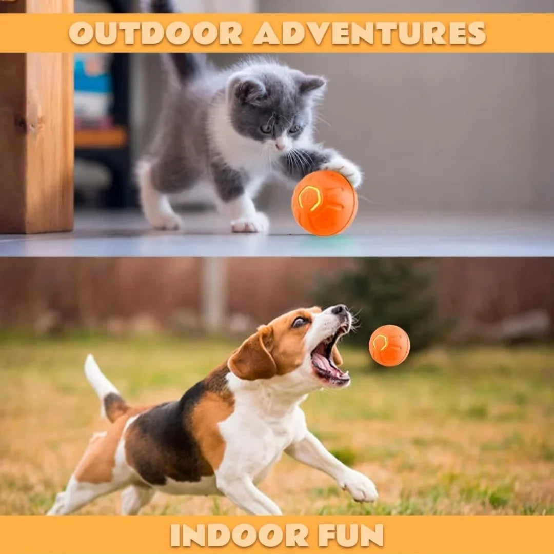 Gravity Electric Pet Bouncing Ball for Dogsâ Interactive, Self-Bouncing Toy, Automatic Motion for Fun & Exercise