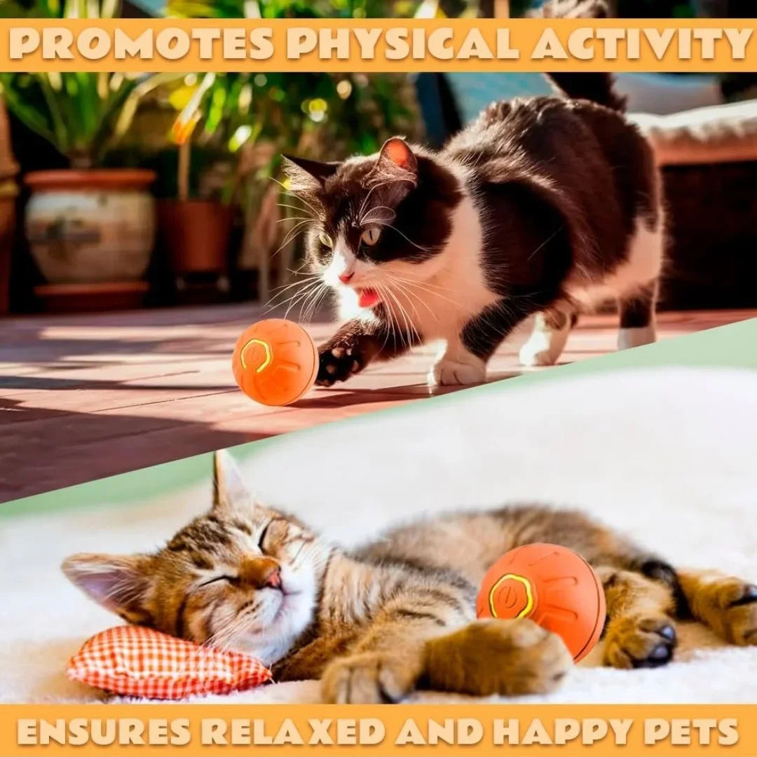 Gravity Electric Pet Bouncing Ball for Dogsâ Interactive, Self-Bouncing Toy, Automatic Motion for Fun & Exercise