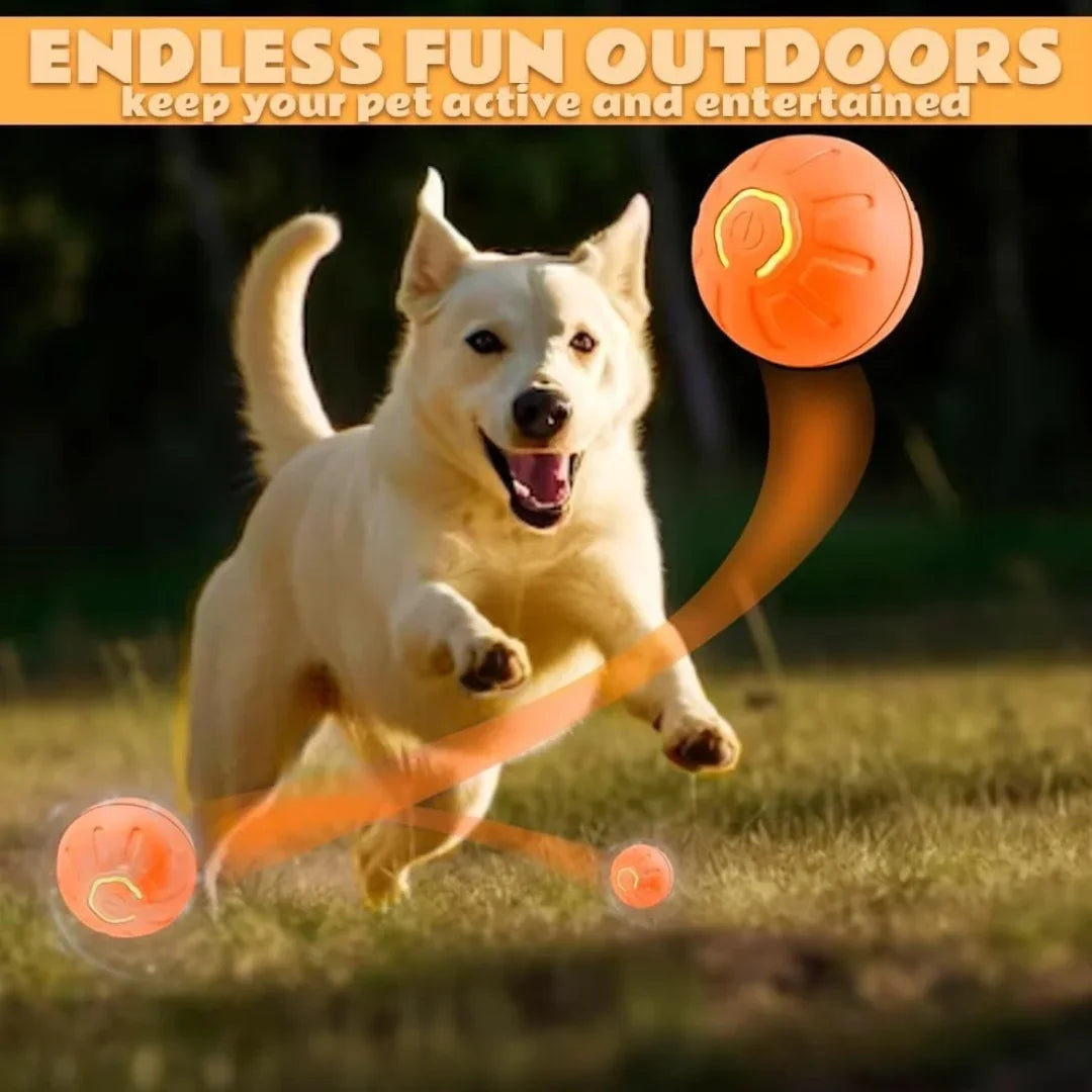 Gravity Electric Pet Bouncing Ball for Dogsâ Interactive, Self-Bouncing Toy, Automatic Motion for Fun & Exercise