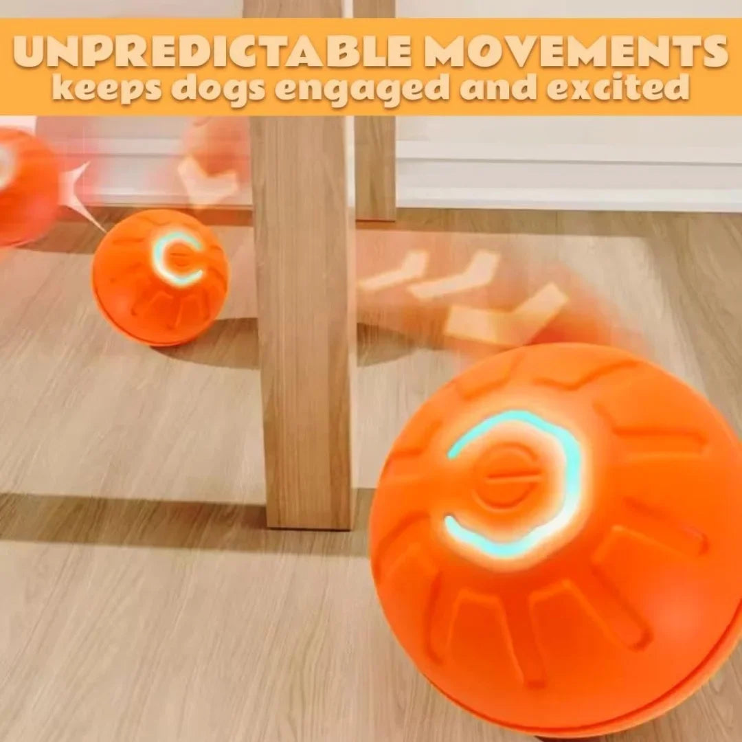 Gravity Electric Pet Bouncing Ball for Dogs– Interactive, Self-Bouncing Toy, Automatic Motion for Fun & Exercise
